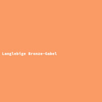 Langlebige Bronze-Gabel